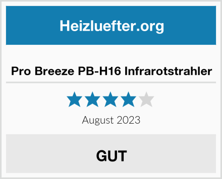  Pro Breeze PB-H16 Infrarotstrahler Test