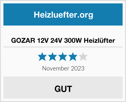  GOZAR 12V 24V 300W Heizlüfter Test
